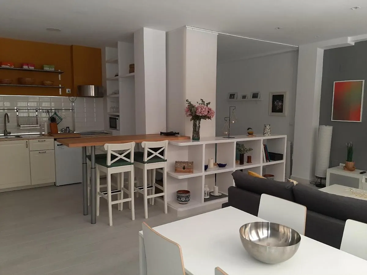 Living4Malaga Loft San Francisco Apartment