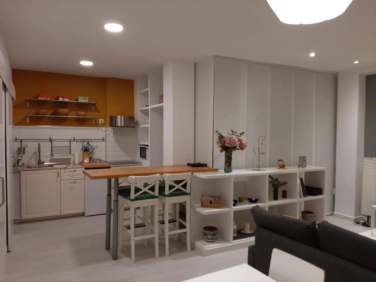 Living4Malaga Loft San Francisco Apartment Spain